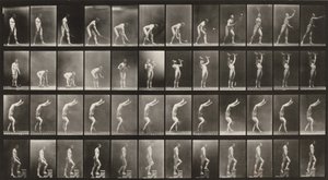  door Eadweard Muybridge