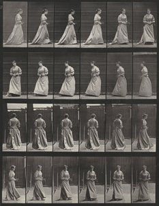  door Eadweard Muybridge