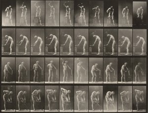 Plaat nummer 491. A, B: Hameren op een aambeeld. C: Gebruik van een hakbijl. D: Zagen van een plank door Eadweard Muybridge