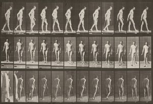  door Eadweard Muybridge