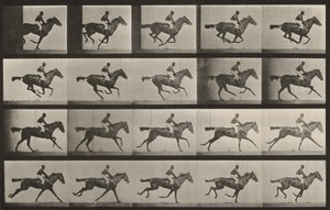  door Eadweard Muybridge