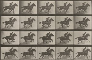  door Eadweard Muybridge