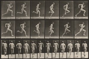 Plaat nummer 62. Hardlopen op volle snelheid door Eadweard Muybridge