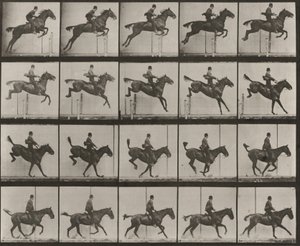  door Eadweard Muybridge