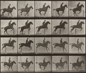  door Eadweard Muybridge