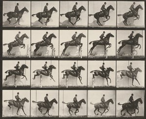 Plaat nummer 640. "Daisy" springt gesadeld over een hindernis door Eadweard Muybridge