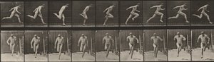 Plaat nummer 68. Hardlopen door Eadweard Muybridge