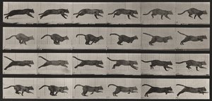  door Eadweard Muybridge