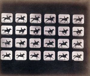 Rennen (Galopperen) door Eadweard J. Muybridge door Eadweard Muybridge