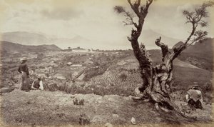 Sololá, Guatemala door Eadweard Muybridge