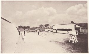 Het Paard in Beweging zoals Getoond door Momentopnamen Fotografie. Met een Studie over Diermechanica Gebaseerd op Anatomie en de Openbaringen van de Camera. Uitgevoerd en Gepubliceerd Onder de Auspiciën van Leland Stanford door Eadweard Muybridge