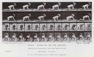 Het Menselijk Lichaam in Beweging: Kind, kruipend op de grond door Eadweard Muybridge