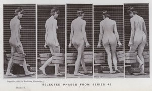 De menselijke figuur in beweging: Geselecteerde fasen uit serie 43 door Eadweard Muybridge