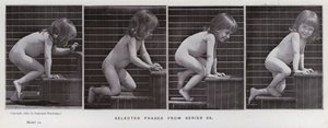 De menselijke figuur in beweging: Geselecteerde fasen uit serie 86 door Eadweard Muybridge