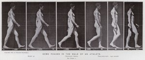 De menselijke figuur in beweging: Enkele fasen in de wandeling van een atleet door Eadweard Muybridge