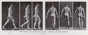 De menselijke figuur in beweging: Enkele fasen in de wandeling van een atleet, met een halter van 50 pond door Eadweard Muybridge