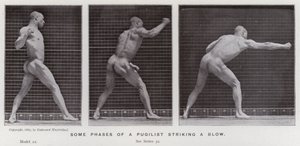 De menselijke figuur in beweging: Enkele fasen van een bokser die een slag toebrengt door Eadweard Muybridge