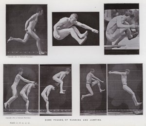 De menselijke figuur in beweging: Enkele fasen van rennen en springen door Eadweard Muybridge
