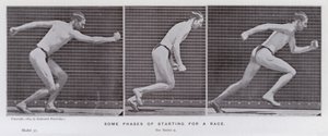 Het menselijk lichaam in beweging: Enkele fasen van het starten van een race (zwart-wit foto) door Eadweard Muybridge