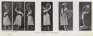 De menselijke figuur in beweging: Verschillende fasen van beweging door Eadweard Muybridge
