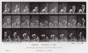 De menselijke figuur in beweging: Vrouw, een hond voeren door Eadweard Muybridge