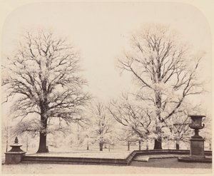 Hoarfrost, een parkscène,1862 (foto) door Earl of Caithness