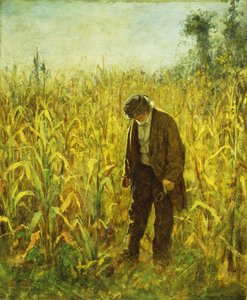 Man in een korenveld