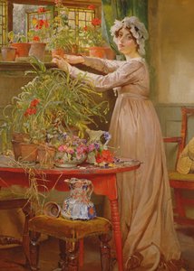 Bloemen schikken