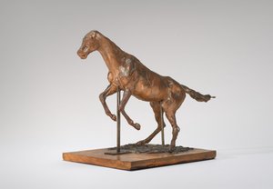 Paard dat weigert en paard dat een obstakel neemt
