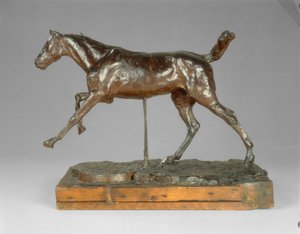 Paard galopperend op de rechtervoet