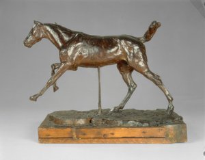 Paard Galopperend op de Rechtervoet