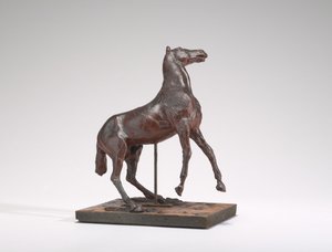 Paard steigert, 1880s
