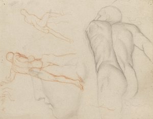 Studies van 