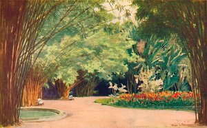 Een bamboebos - Botanische tuinen
