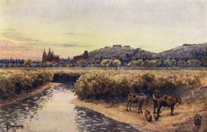 Noord-Spanje: Burgos, vanuit het oosten