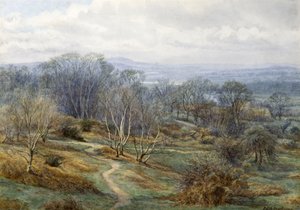 Hampstead Heath met uitzicht op Harrow on the Hill, ca. 1880
