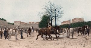 Paardenmarkt in Parijs