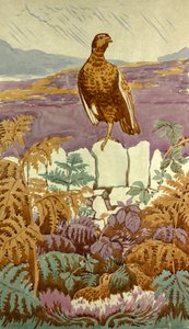 Uitkijk op de heide, c.1930