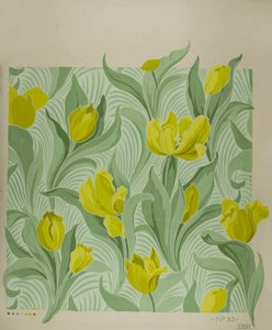 Tulipa door Edmund Hunter