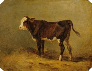 Kalfje door Edmund Mahlknecht