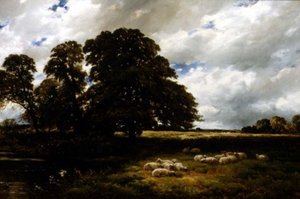 Landschap met Schapen