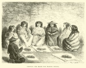 Het kauwen van maïs voor het maken van Chicha (gravure)