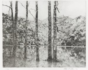 Sai-no-Ko, 1992 door Edouard Cremieux
