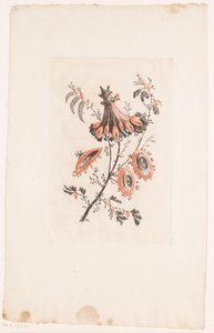 Parasolvormige bloemen door Edouard Gautier Dagoty