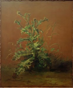 De distel