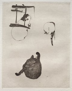 De katten