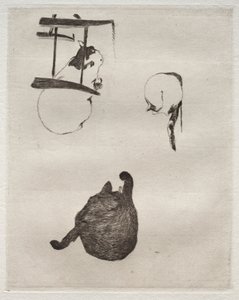De katten