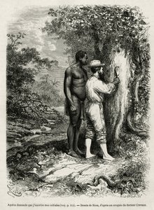 Apatou, gids en reisgenoot vraagt de ontdekkingsreiziger auteur om zijn initialen in de schors van een boom te graveren. Gravure door Riou, ter illustratie van het verhaal van Cayenne aux Andes, door Jules Crevaux, arts van de Franse marine, in 1878-1879,  door Edouard Riou