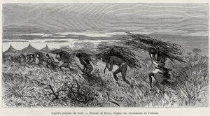 Gevangenen dragen hout in de bush. Gravure door Riou, ter illustratie van het verhaal 