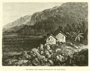 Hacienda en cacaoplantage van Tian-tian door Edouard Riou